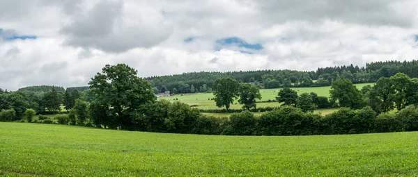 Naturlandschaft Mit Wäldern Und Wiesen — Stockfoto