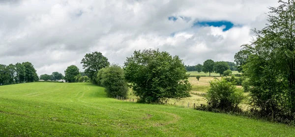 Nature landscape with forests and meadows at the Belgian countryside