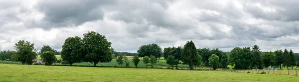 Nature landscape with forests and meadows