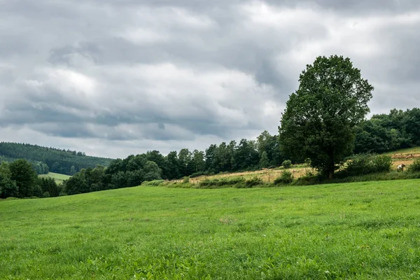 Nature landscape with forests and meadows