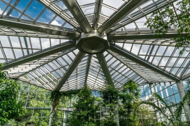 Botanik Palmengarten, Frankfurt am Main, Almanya, Temmuz 201