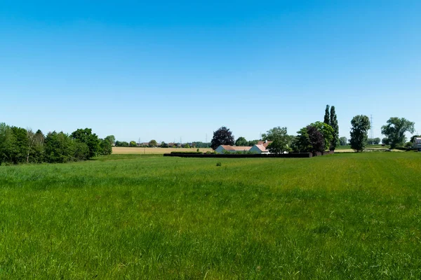 Ländlicher Blick Über Die Felder Und Das Dorf Sint Maartens — Stockfoto