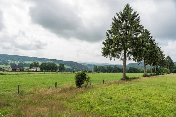 Pohled Krajinu Venkova Ardenách Waimes Belgie Červenec 2017 — Stock fotografie