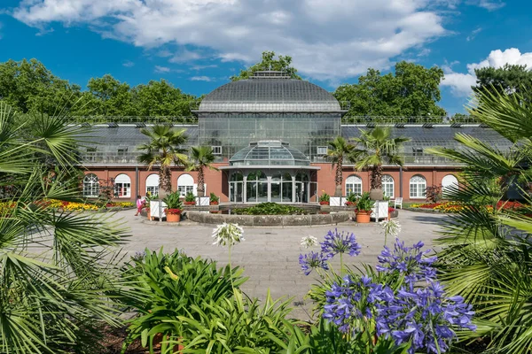 Botanik Palmengarten, Frankfurt am Main, Almanya, Temmuz 201