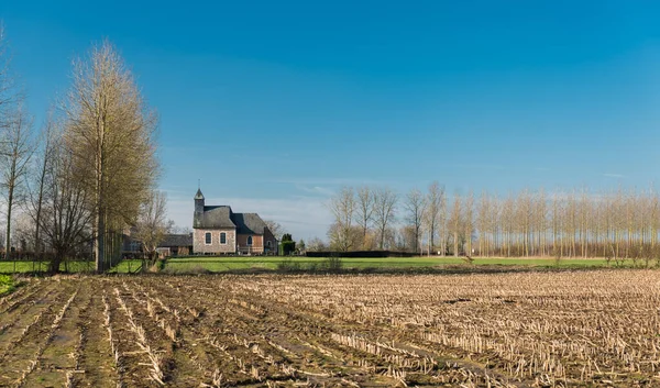 Getreidefelder Und Bauernhof Der Belgischen Landschaft Bei Zoutleeuw — Stockfoto