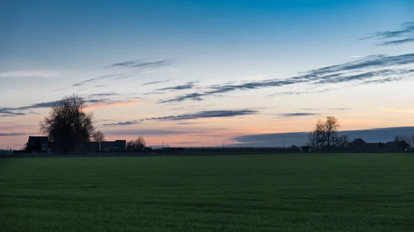 Подивіться Дерева Луки Бельгійській Сільській Місцевості Під Час Заходу Сонця — стокове фото