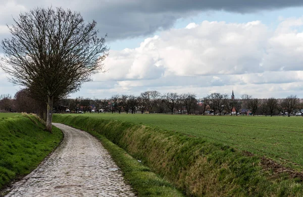 Route Pavée Travers Paysage Rural — Photo