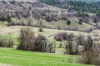 Slovenya 'nın Predjama kentindeki dağları, tepeleri ve renkli ormanları gezin.