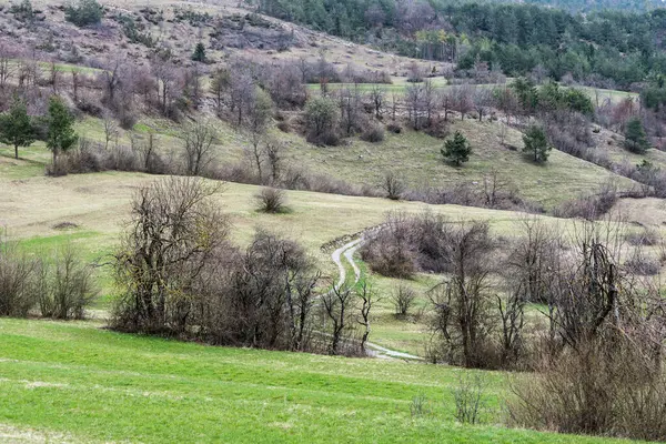 Slovenya 'nın Predjama kentindeki dağları, tepeleri ve renkli ormanları gezin.