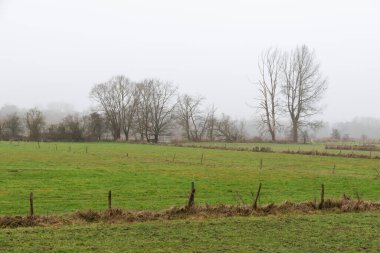 Dyle Nehri 'nin doğal rezervi, sisli bir kış gününde doğal bir sel ovası.