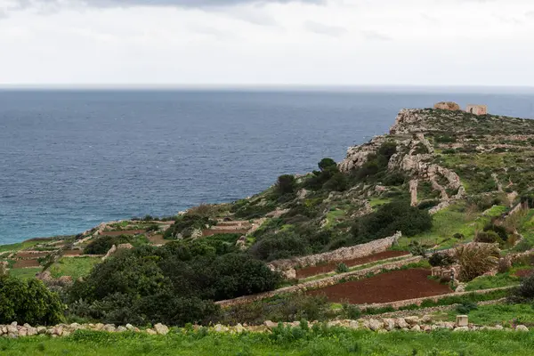 Зелені Скелясті Гори Традиційні Поля Сільського Господарства Узбережжі Селмун Мальта — стокове фото