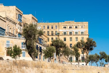 Valletta, Malta - 01 07 2022: Palmiye ağaçlarıyla çevrili, sarı doğa taşında apartman blokları
