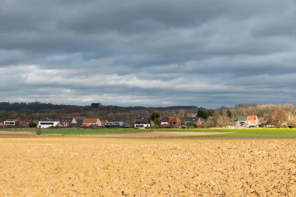 ベルギー フランダース ブラバント州ルーヴェン 2022 フランダース地方で収穫された黄色の小麦畑を見下ろす — ストック写真