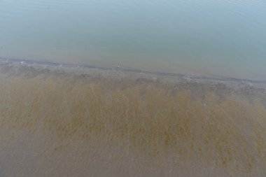 Lizbon, Portekiz 'de sisli bir günde Atlantik Okyanusu' nun çamurlu sahili ve sığ sularının manzarası.