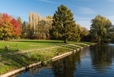 Jette, Brüksel / Belçika - 11 07 2018: Güneşli bir sonbahar gününde Kral Baudouin şehir parkında renkli ağaçlarla oturan insanlar