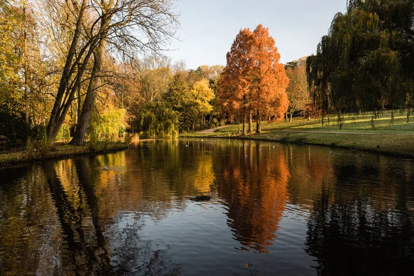 Stuyvenbergh Şehir Parkının Panoramik Manzarası Renkli Sonbahar Ağaçları Brüksel Belçika — Stok fotoğraf
