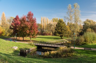 Jette, Brüksel / Belçika - 11 07 2018: Güneşli bir sonbahar gününde Kral Baudouin şehir parkında renkli ağaçlarla oturan insanlar