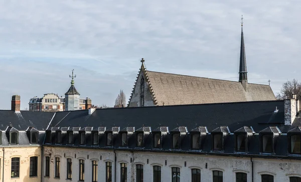 Ixelles Bruxelles Belgique 2019 Vue Panoramique Sur Parc Site Abbaye — Photo