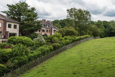 Uccle, Brüksel - Belçika - 06 14 2019 - Vronerode 'nin yeşil çayır ve ağaçlarının manzarası