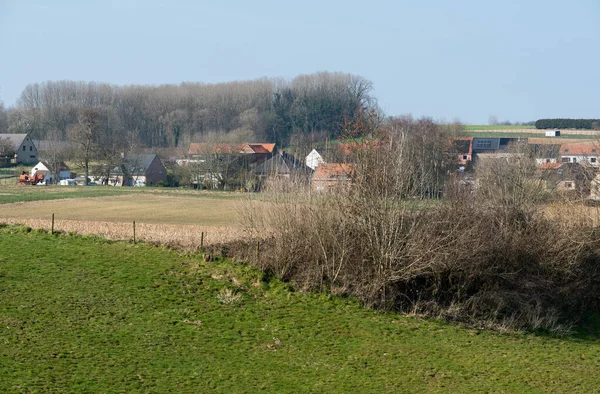 Merchtem Regionen Flamländska Brabant Belgien 2022 Utsikt Över Åkrar Och — Stockfoto