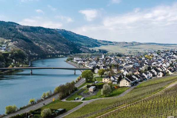 Mehring Rhineland Palatinate Germany 2019 View Village Mehring Meandering Moselle — Stock Photo, Image