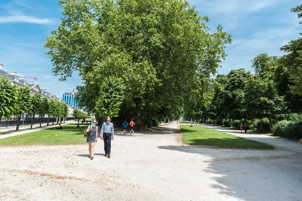 Brüksel Eski Kenti Belçika 2019 Parc Bruxelles Ağaç Caddesinde Yürüyen — Stok fotoğraf