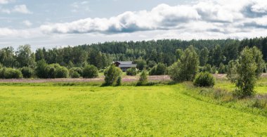 İsveç, Borka, Gavleborgs Lan, İsveç boyunca uzanan yeşil çayırlar ve tarım arazilerine bakın.