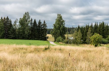 Segersta, Halsingland, İsveç çevresindeki tarlalara ve tarımsal manzaraya bakın..