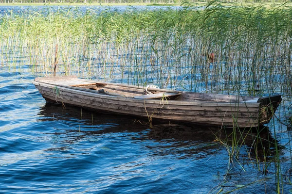 Woda Małego Jeziora Roślin Wodnych Oraz Trzciny Rezerwatu Przyrody Florarna — Zdjęcie stockowe