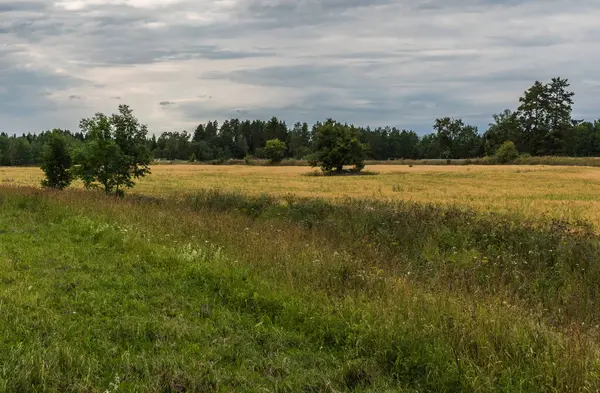 Blick Über Die Schwedische Landschaft Rund Draknas Uppland Schweden Mit — Stockfoto