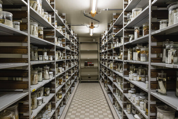 Brussels Capital Region - Belgium, 03 19 2022 - Isle with shelves in the archive of the museum for natural science