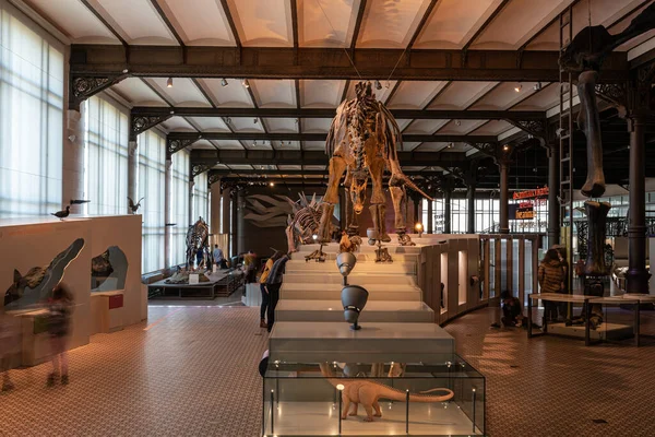 Βρυξέλλες Πρωτεύουσα Βέλγιο 2022 Art Deco Εσωτερικό Ξύλινα Στολίδια Της — Φωτογραφία Αρχείου