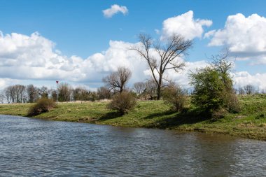 Natural flood zone with the green banks of the river Maas,Thorn, Limburg, The Netherlands