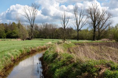 Çıplak kış ağaçları, yeşil doğal çayırlar ve Hollanda 'nın Thorn, Limburg, Hollanda çevresindeki kırsal kesimlerinde bir dere.