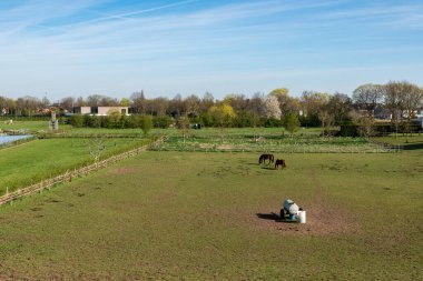 Echt, Limburg, Hollanda çevresindeki Hollanda kırsalında otlayan atların olduğu kırsal bölge.