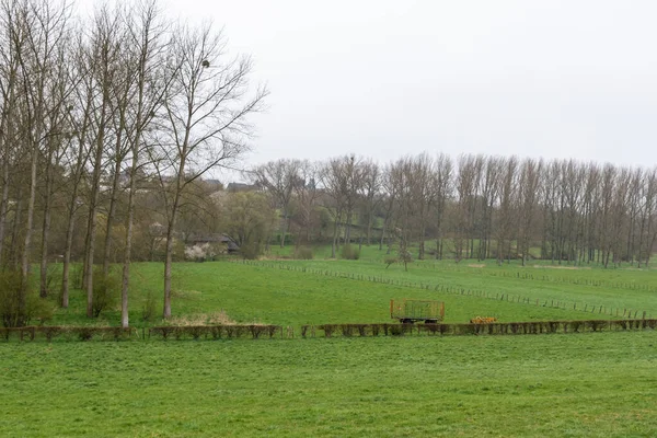 Green Meadows Fields Walloon Countryside Bassenge Belgium — Stockfoto