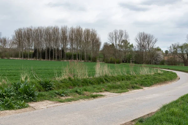 Biking Trail Flemish Countryside Zoutleeuw Belgium — Stockfoto
