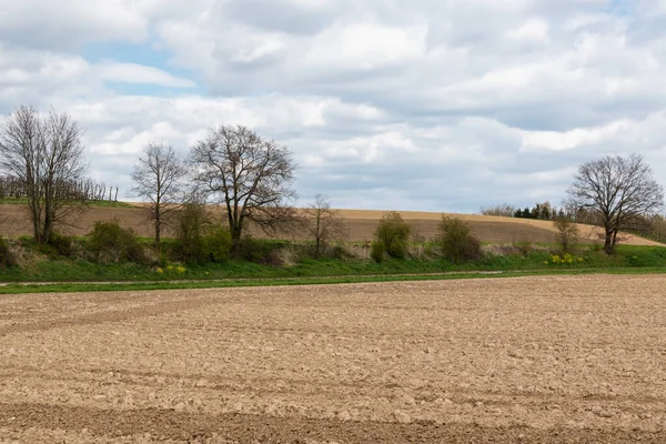 Braune Erde Und Sämlinge Von Landwirtschaftlichen Feldern Der Flämischen Landschaft — Stockfoto