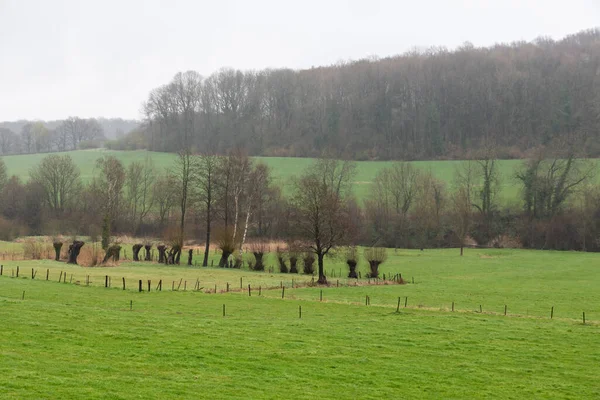Vista Panorâmica Sobre Colinas Verdes Terras Agrícolas Campo Holandês Torno — Fotografia de Stock