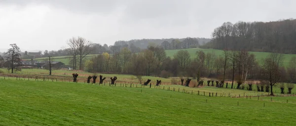 Panoramic View Green Hills Farmland Dutch Countryside Slenaken Netherlands — Foto Stock