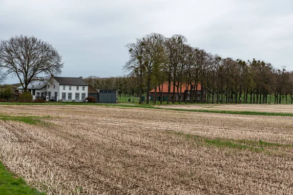 Ackerland Und Bäume Der Niederländischen Landschaft Urmond Niederlande — Stockfoto