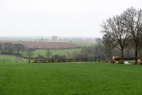 Panoramatický Výhled Kopcovitou Zemědělskou Půdu Deštivém Dni Banholt Nizozemsko — Stock fotografie