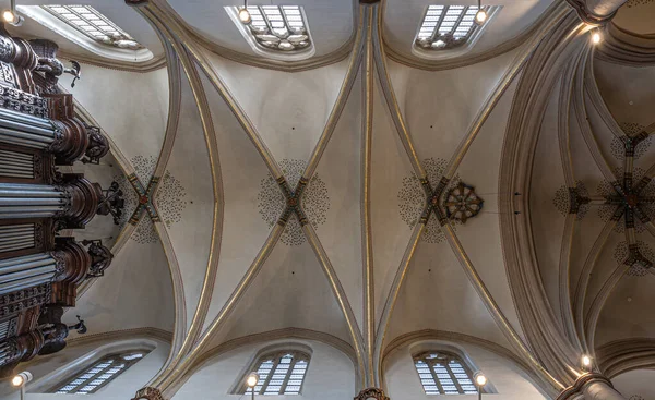 Hasselt Limbourg Belgique Plafond Cathédrale Gothique Saint Quentin — Photo