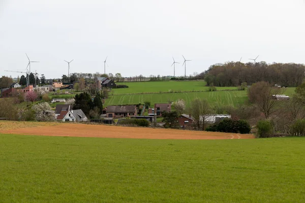 Scherpenheuvel Flemish Brabant Region Belgium 2022 Farmland Hills Village Background — Stock fotografie