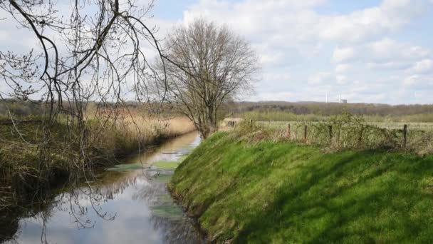 Ländliche Szenerie Mit Bach Gräsern Und Blauem Himmel Rund Montfort — Stockvideo