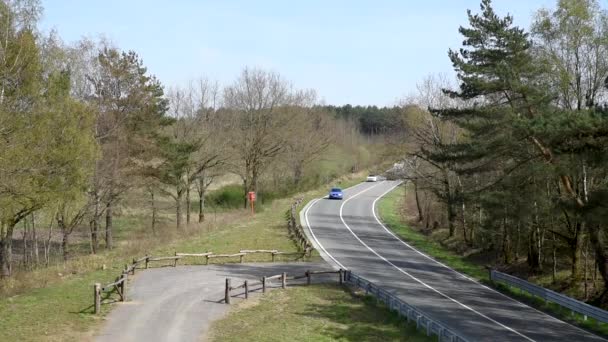 Maasmechelen Limburg Belgium 2022 Motorway National Nature Reserve Hoge Kempen — Stockvideo