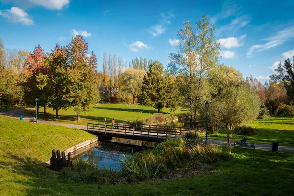Jette, Brüksel Başkent Bölgesi, Belçika - 11 2 2019 Baudouin şehir parkı üzerinde sonbahar renkleriyle panoramik manzara