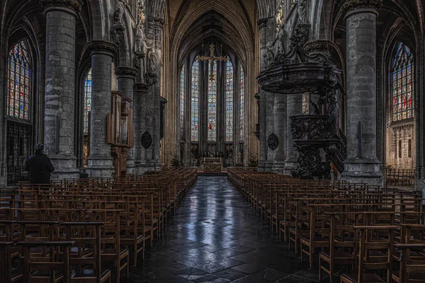 Brüksel Eski Kent, Brüksel Başkent Bölgesi - Belçika - 12: 2019 Sablon Katolik Kilisesinin simetrik iç tasarımı