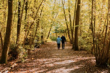 Jette, Brussels Capital Region, Belgium - 11 2 2019 Sun and mother walking through a colorful tree lane during the autumn season