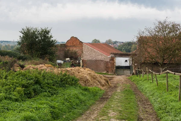 Vista Una Fattoria Tradizionale Locale Fiocchi Zellik Belgio — Foto Stock